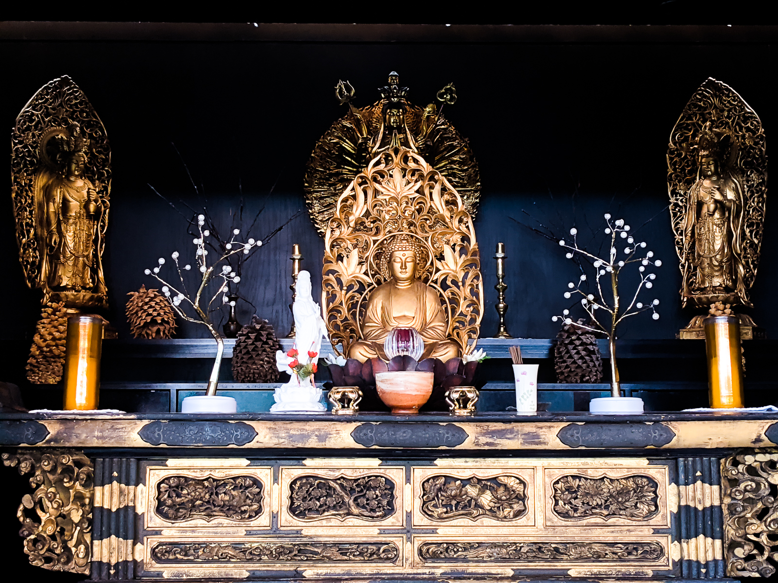 PXL 20201128 181411237